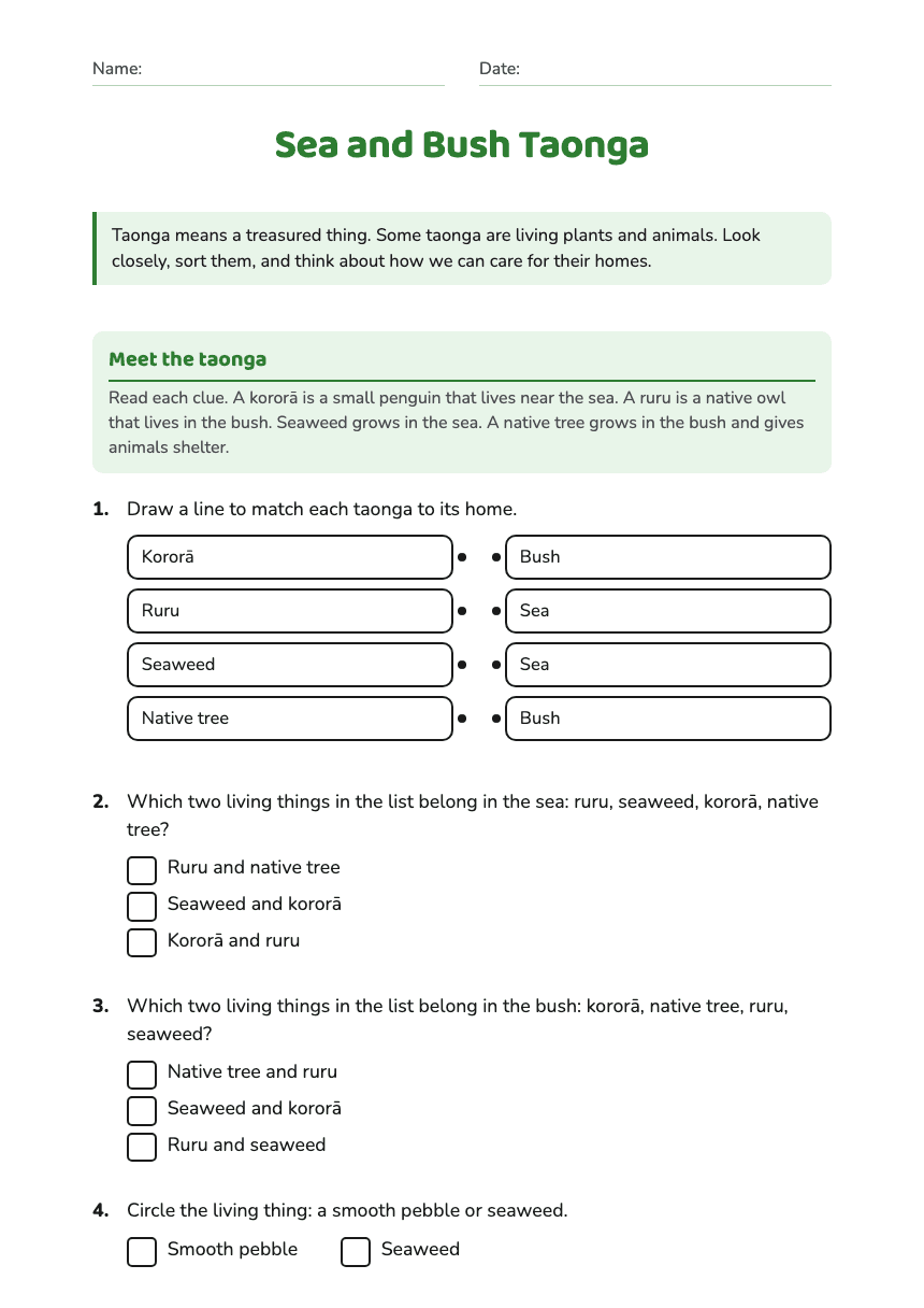 Sea and Bush Taonga worksheet preview