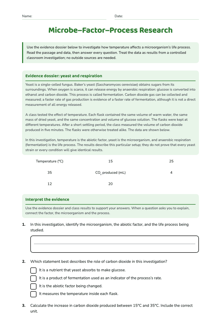 Microbe–Factor–Process Research worksheet preview