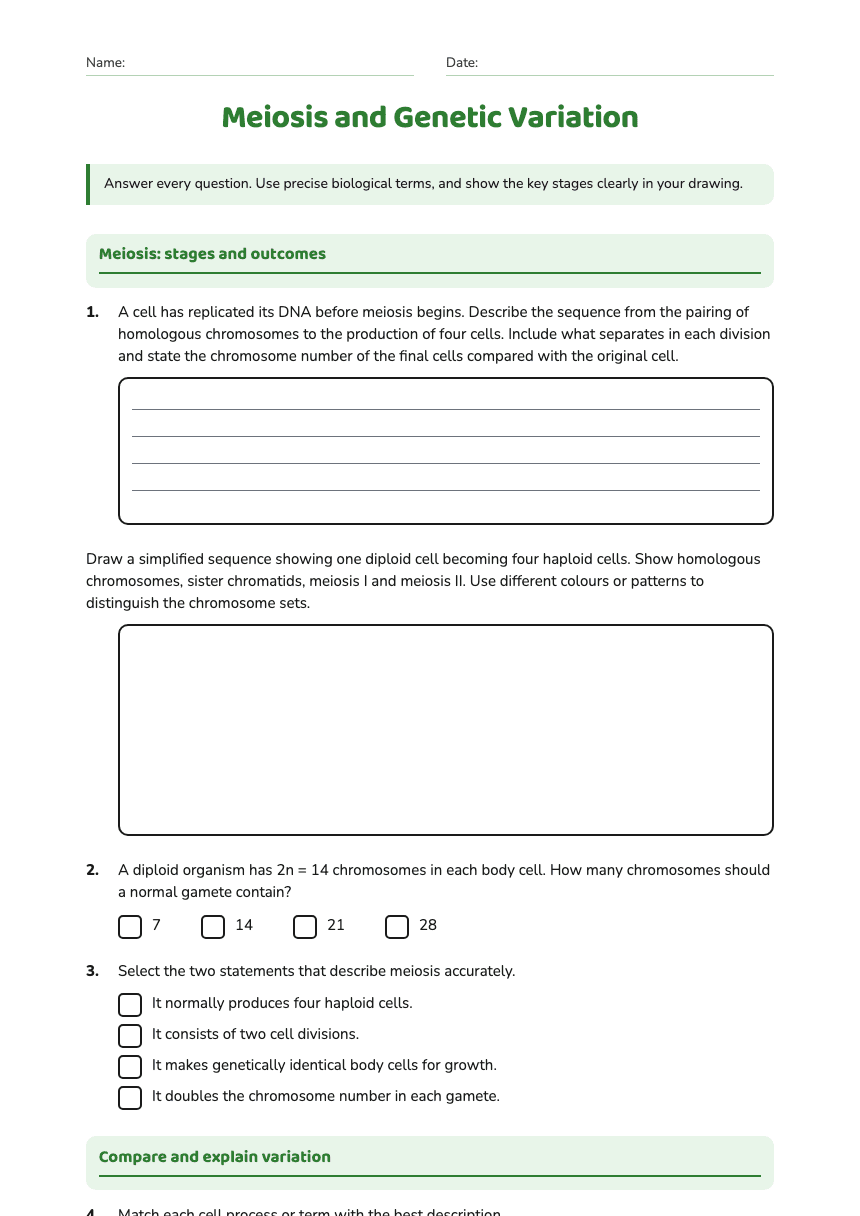 Meiosis and Genetic Variation worksheet preview