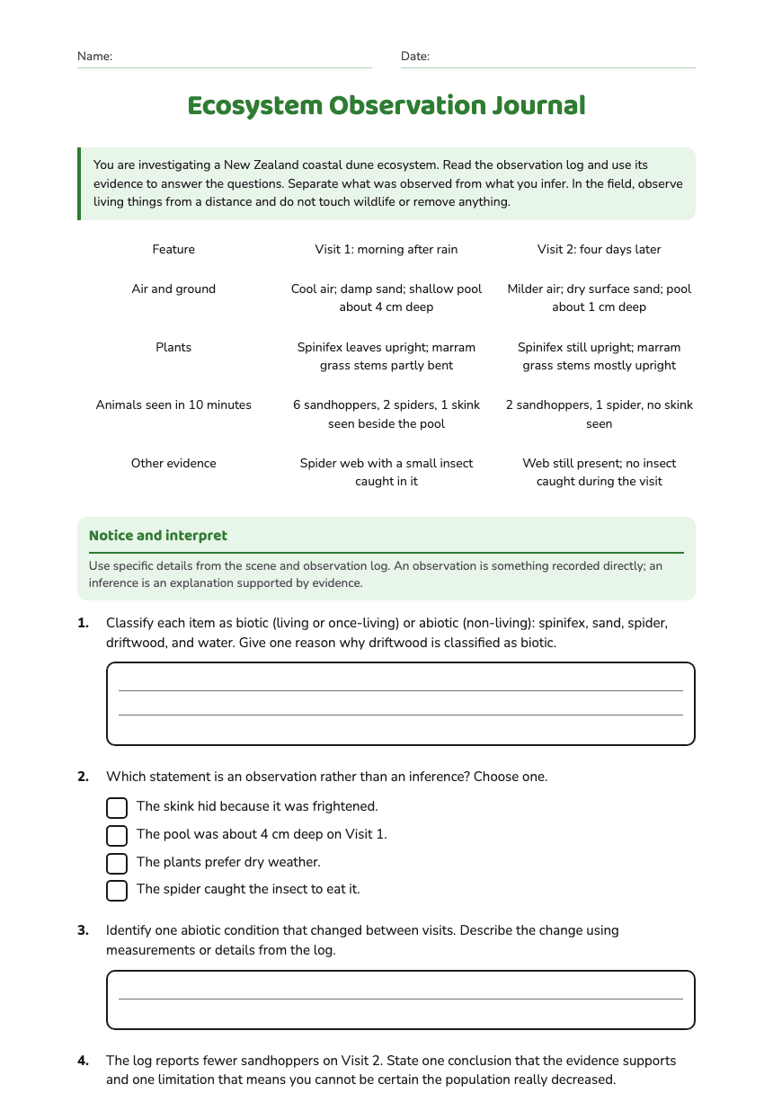 Ecosystem Observation Journal worksheet preview