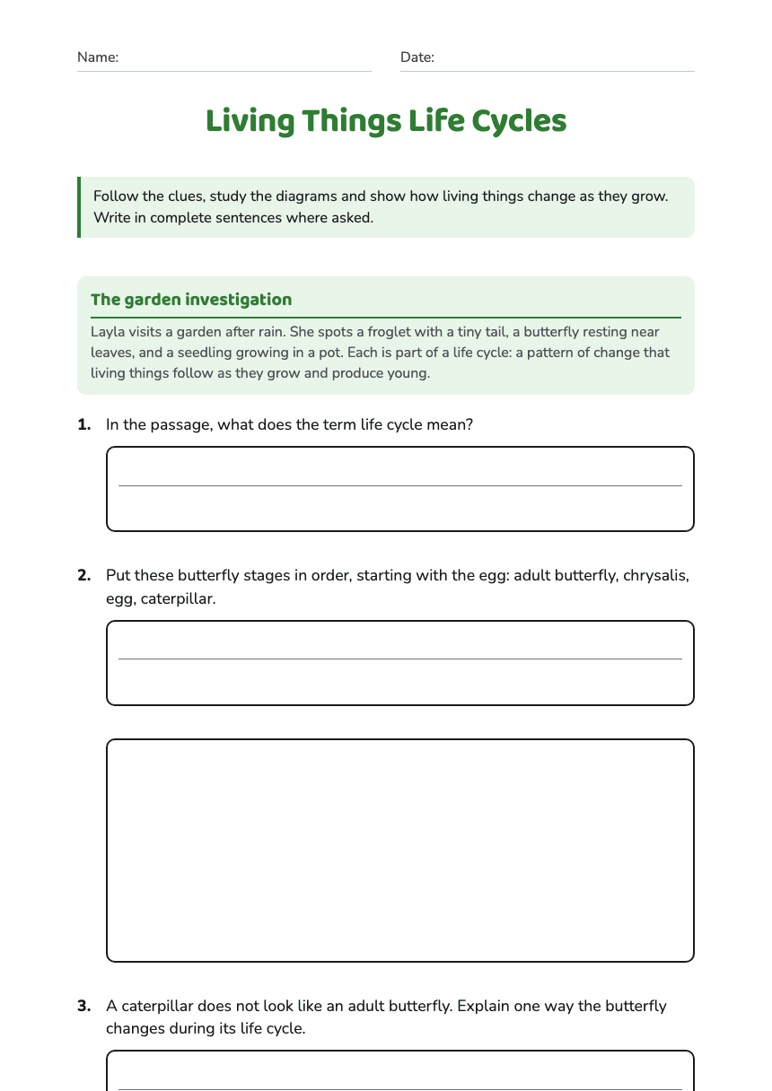 Living Things Life Cycles worksheet preview