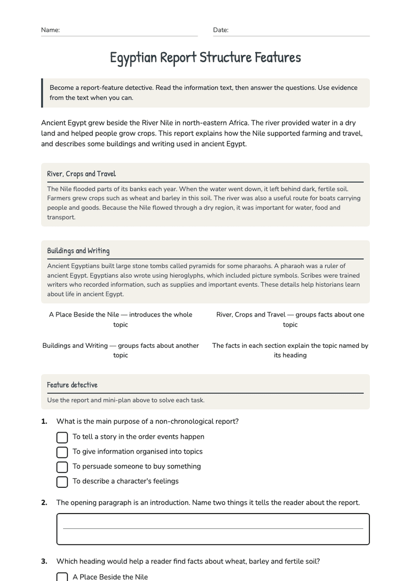 Egyptian Report Structure Features