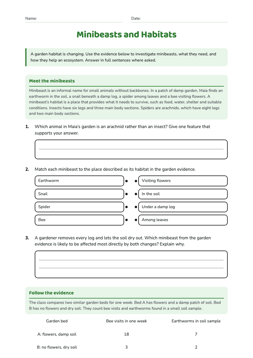 Minibeasts and Habitats worksheet preview
