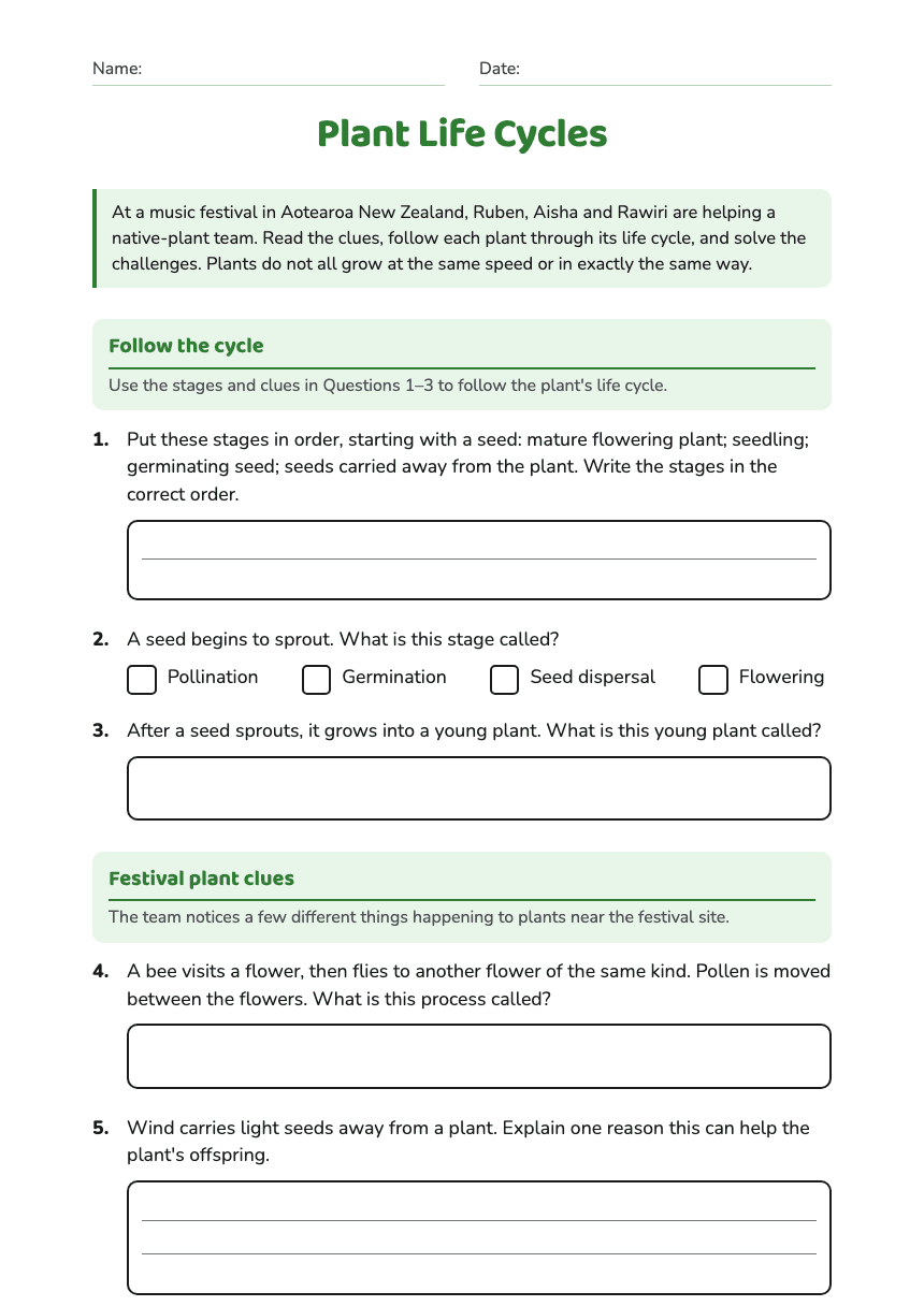 Plant Life Cycles worksheet preview