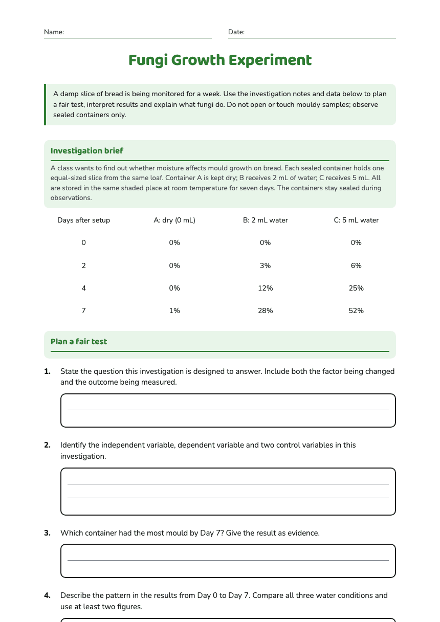 Fungi Growth Experiment worksheet preview