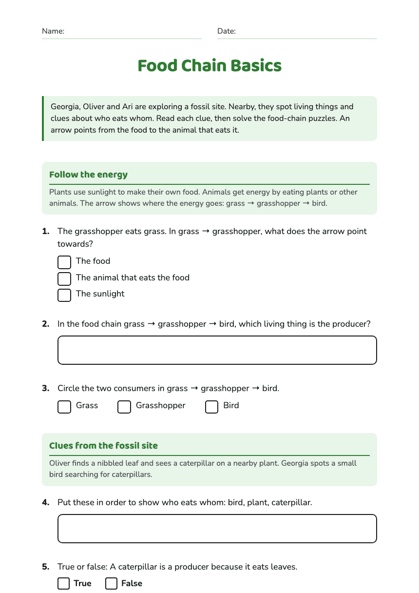 Food Chain Basics worksheet preview