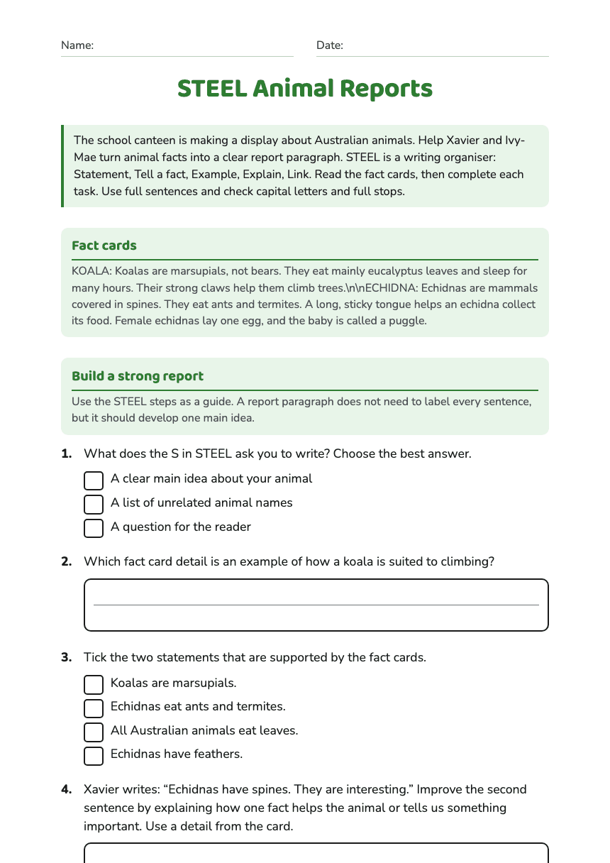STEEL Animal Reports worksheet preview