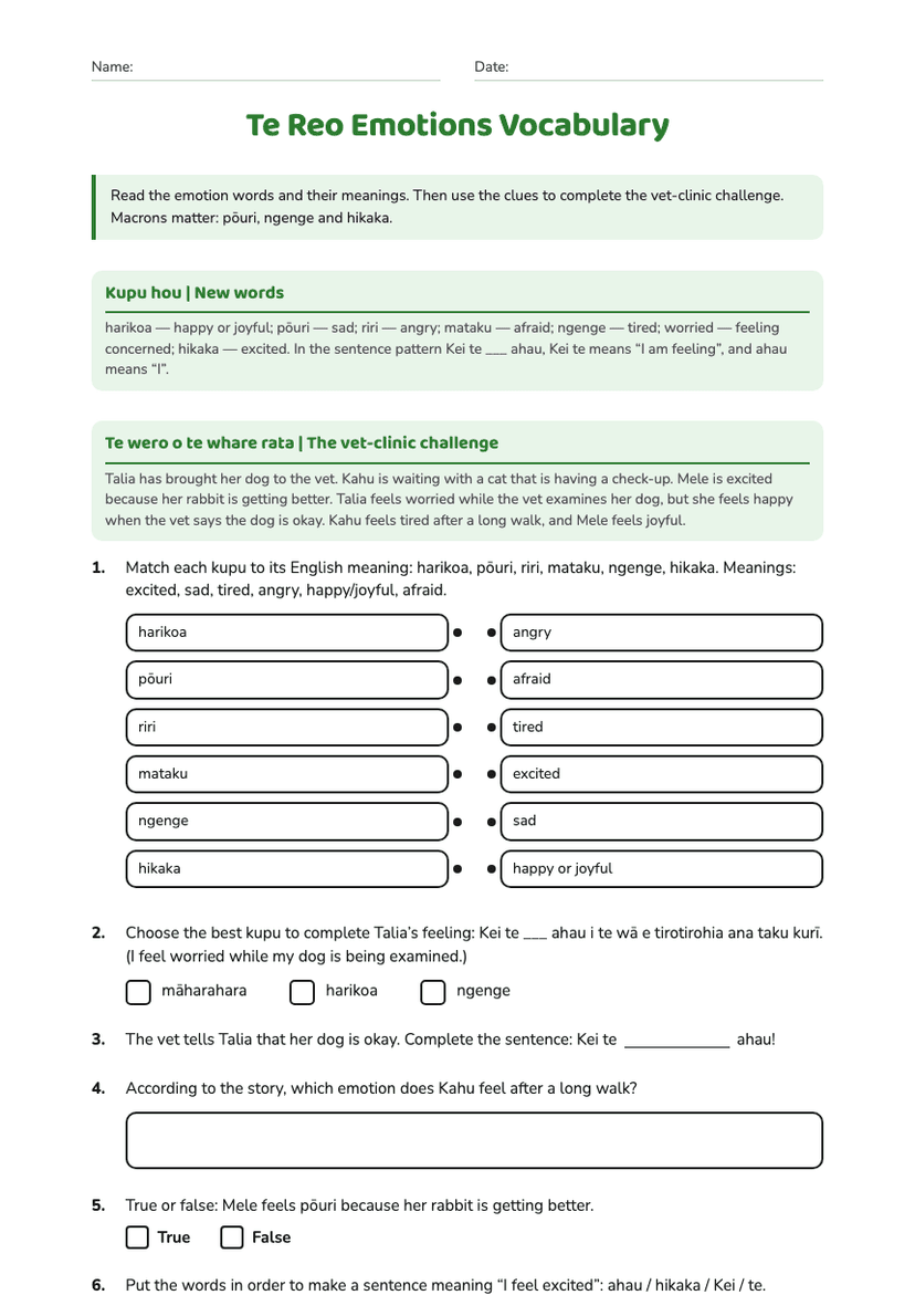 Te Reo Emotions Vocabulary