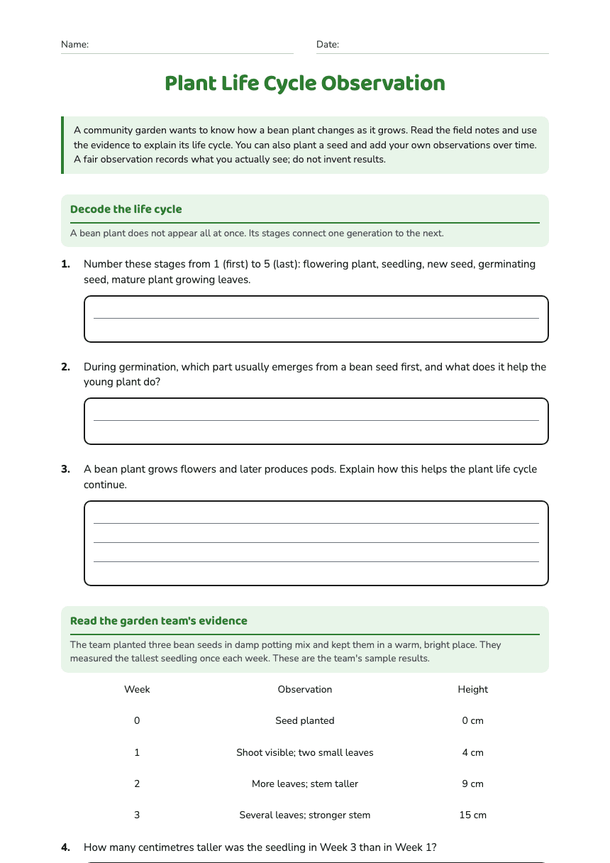 Plant Life Cycle Observation worksheet preview
