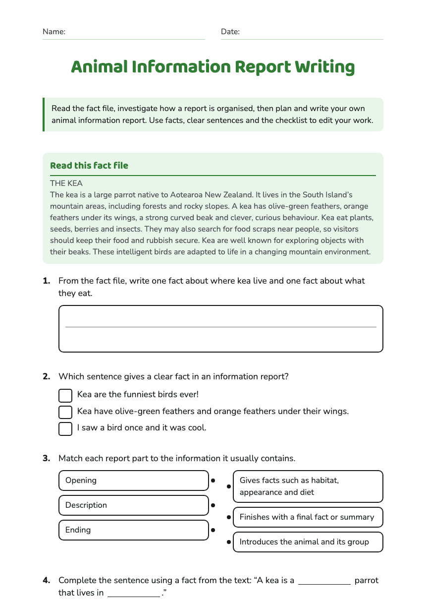 Animal Information Report Writing worksheet preview