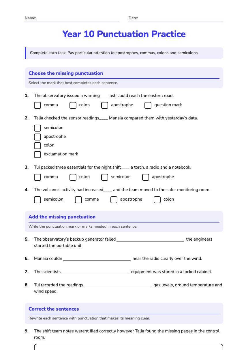 Year 10 Punctuation Practice worksheet preview