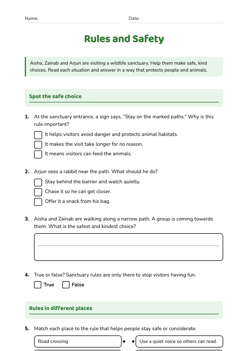 Rules and Safety worksheet preview