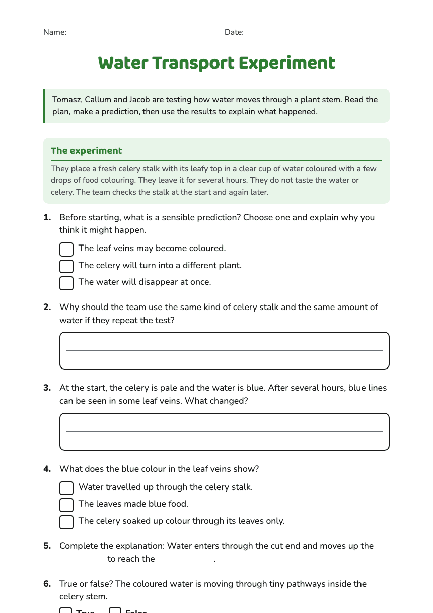 Water Transport Experiment worksheet preview
