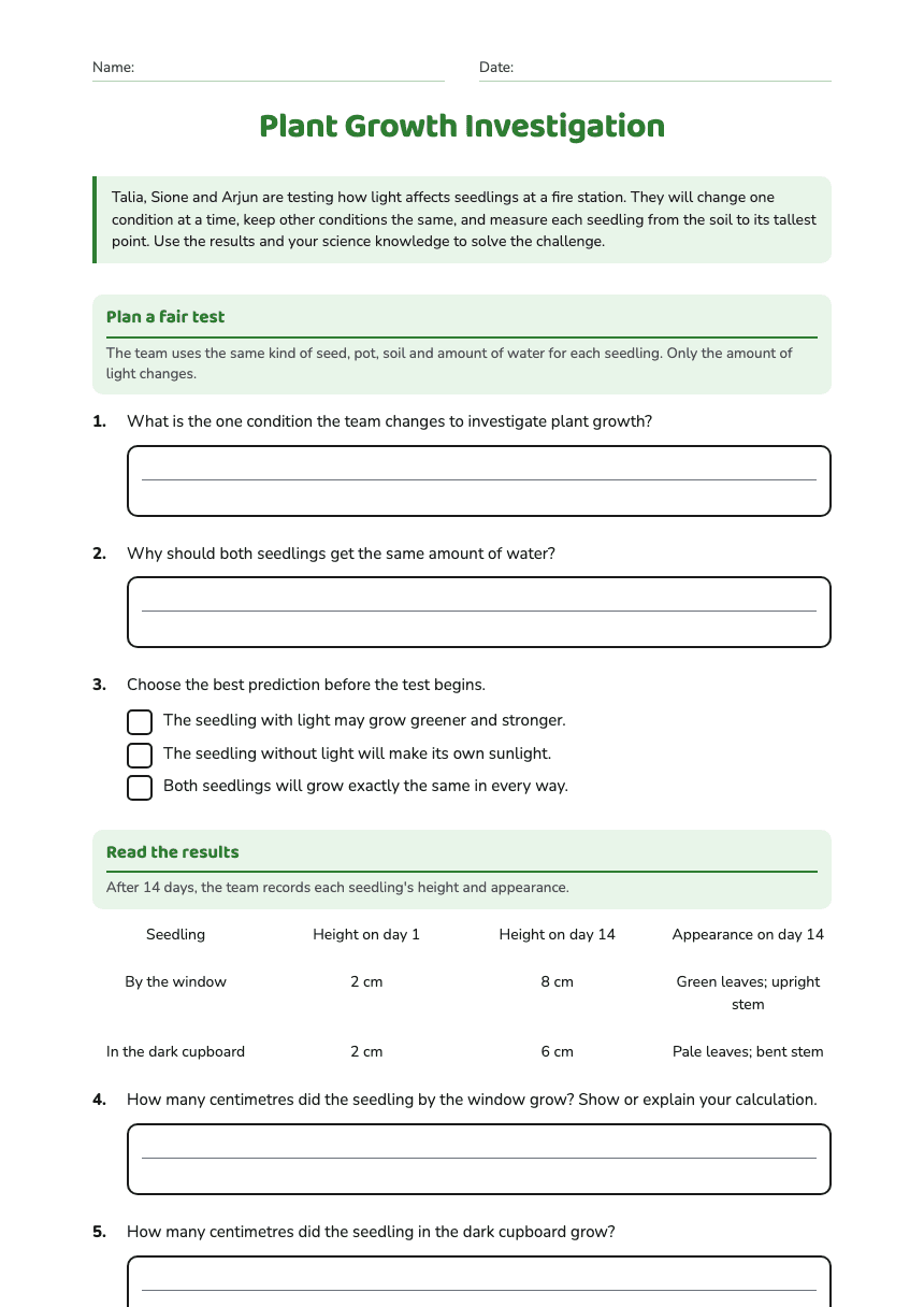 Plant Growth Investigation worksheet preview