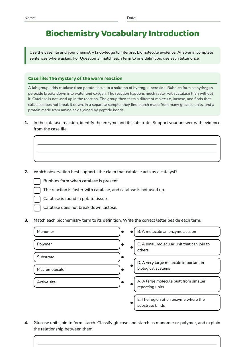 Biochemistry Vocabulary Introduction worksheet preview