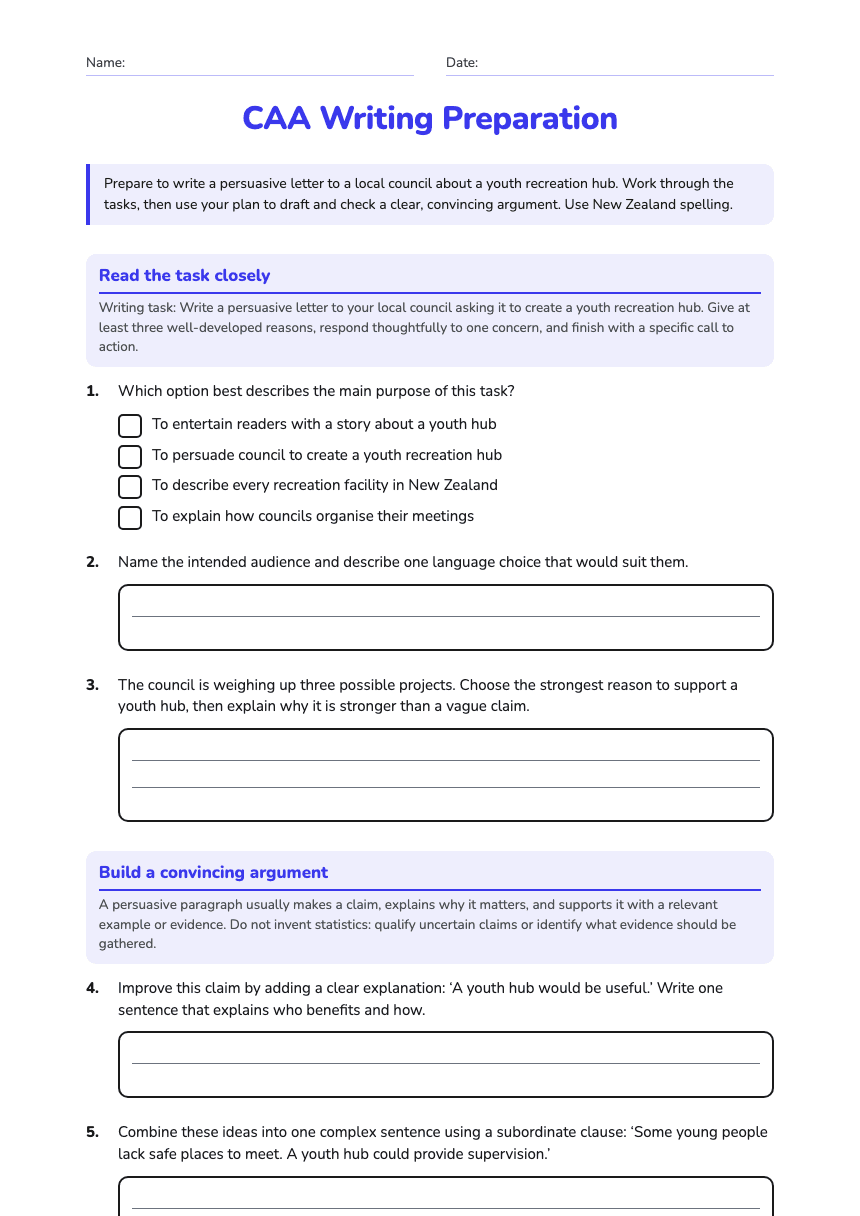 CAA Writing Preparation worksheet preview