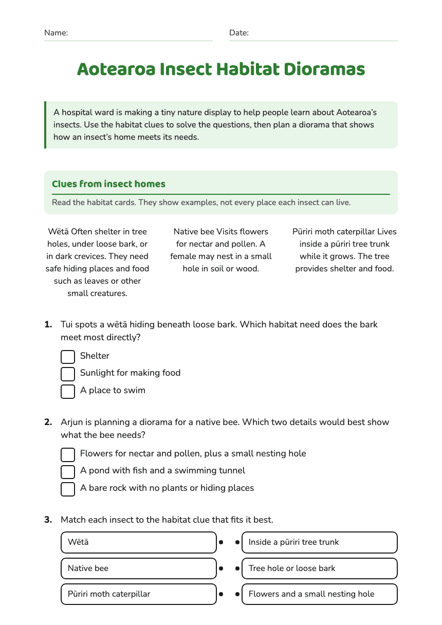 Aotearoa Insect Habitat Dioramas worksheet preview