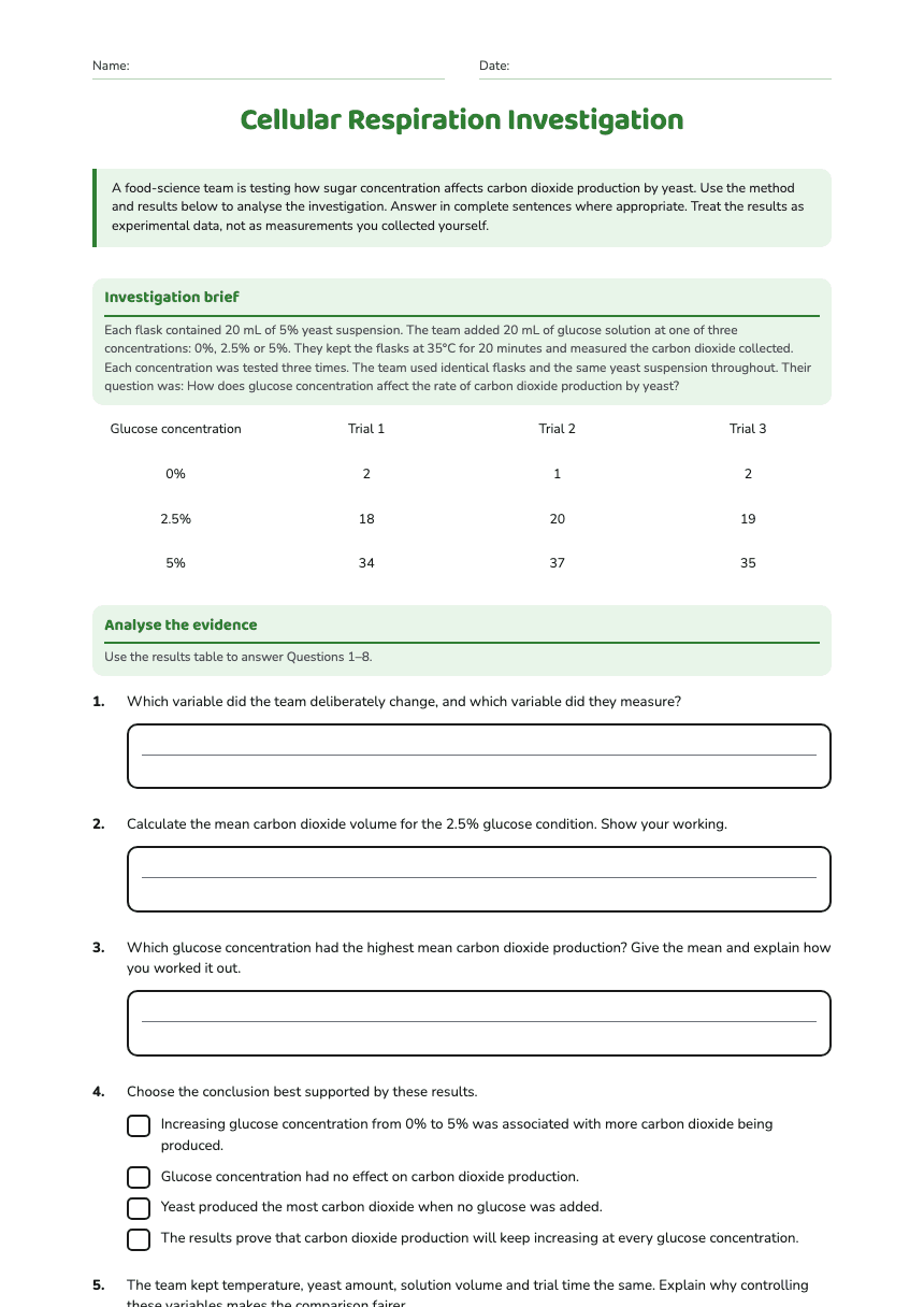 Cellular Respiration Investigation worksheet preview