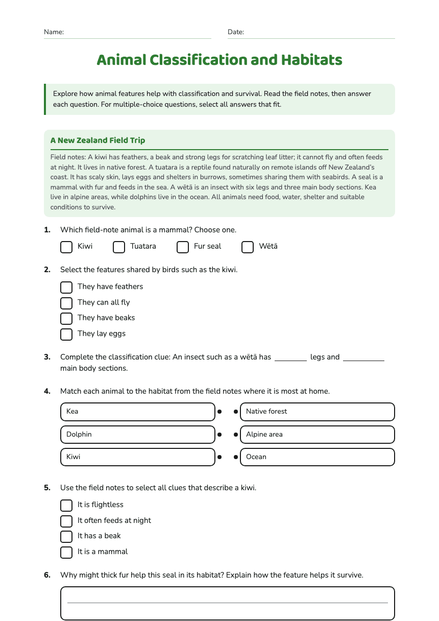 Animal Classification and Habitats worksheet preview