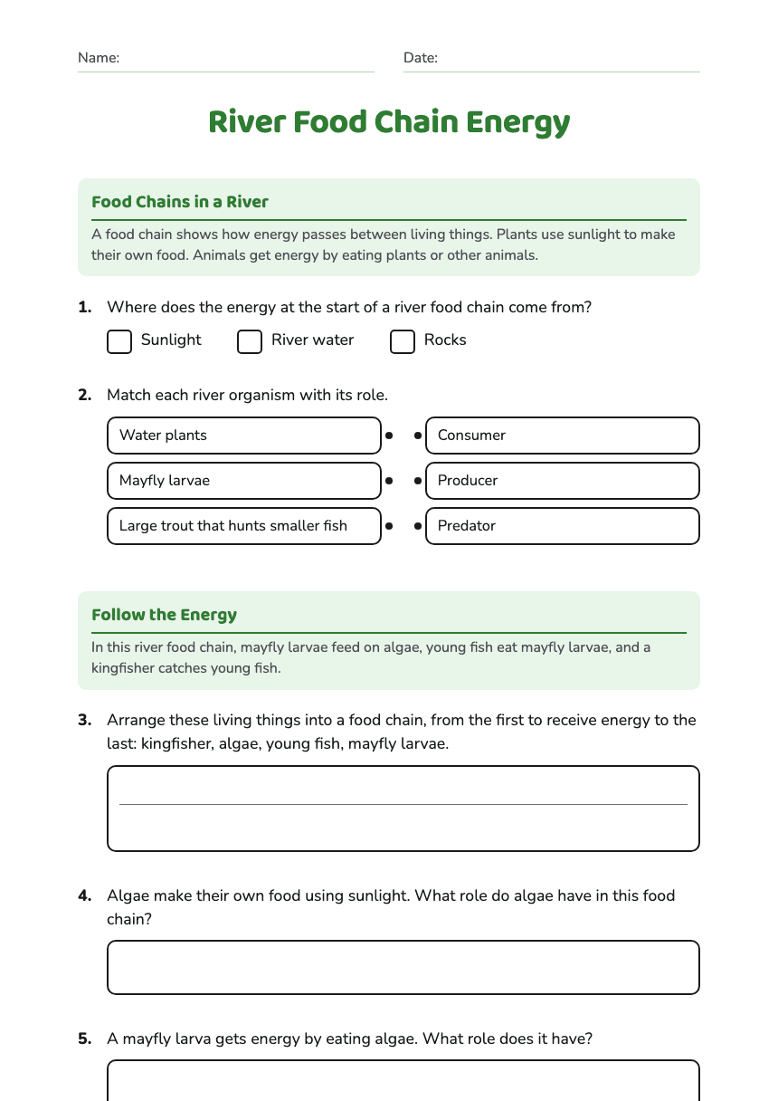 River Food Chain Energy worksheet preview