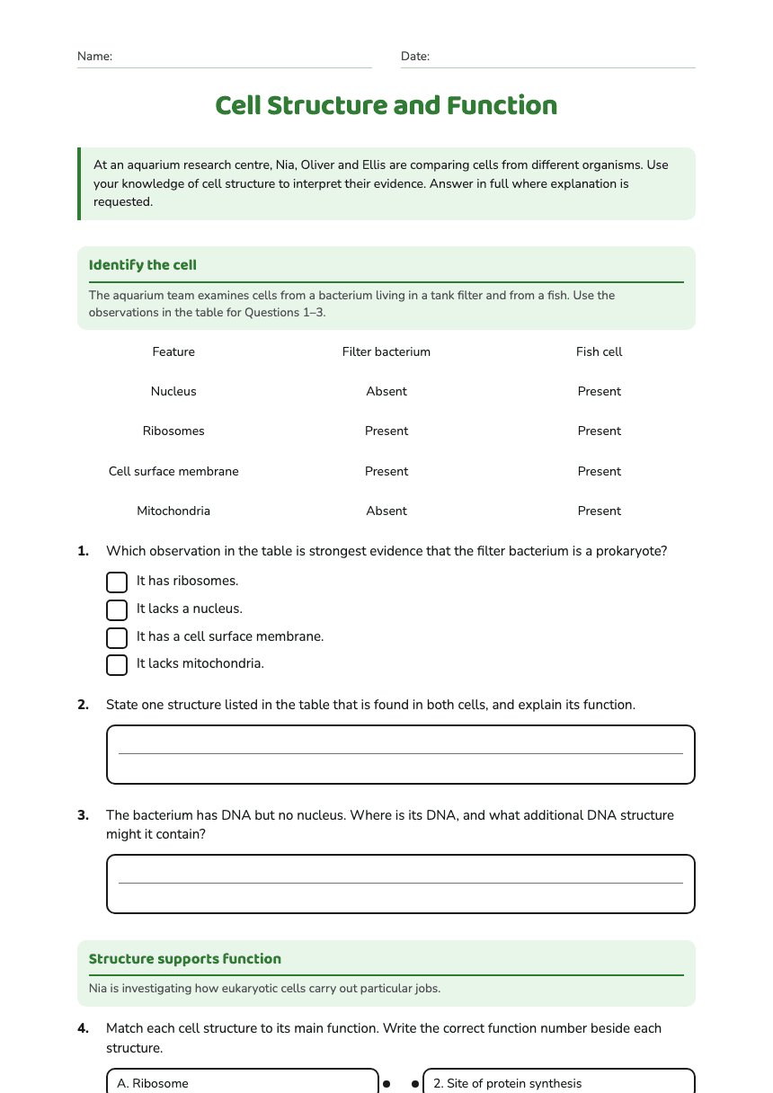 Cell Structure and Function worksheet preview