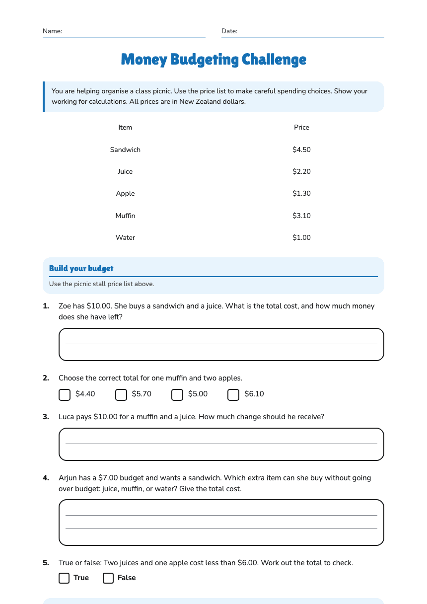 Money Budgeting Challenge worksheet preview