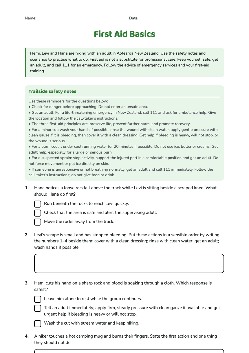 First Aid Basics worksheet preview