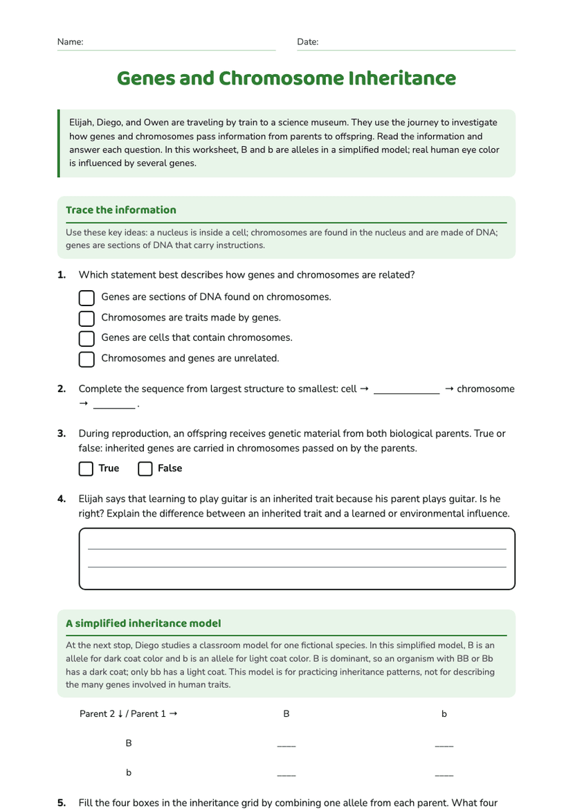 Genes and Chromosome Inheritance