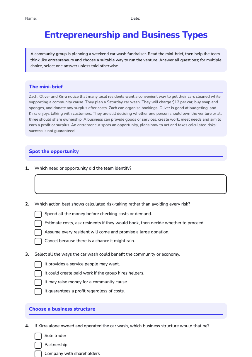 Entrepreneurship and Business Types worksheet preview