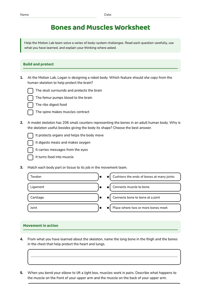 Bones and Muscles Worksheet