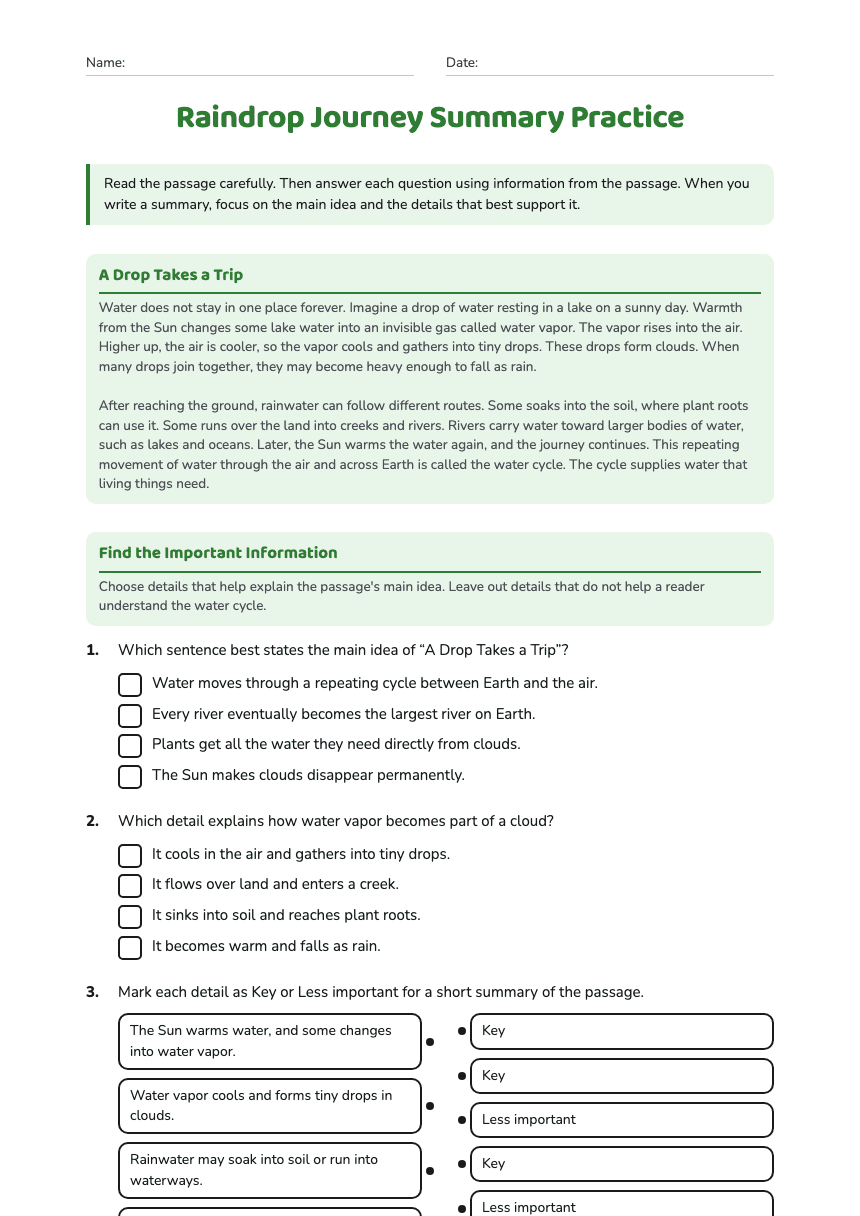 Raindrop Journey Summary Practice worksheet preview