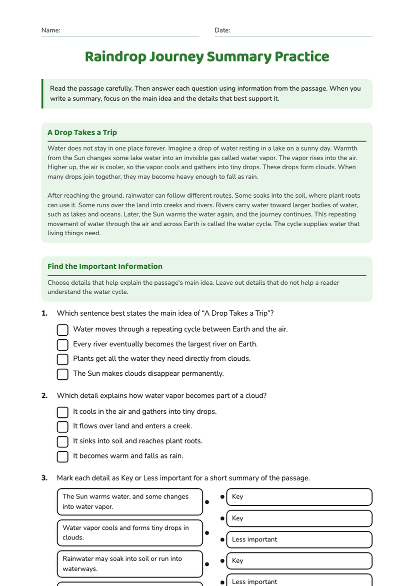 Raindrop Journey Summary Practice
