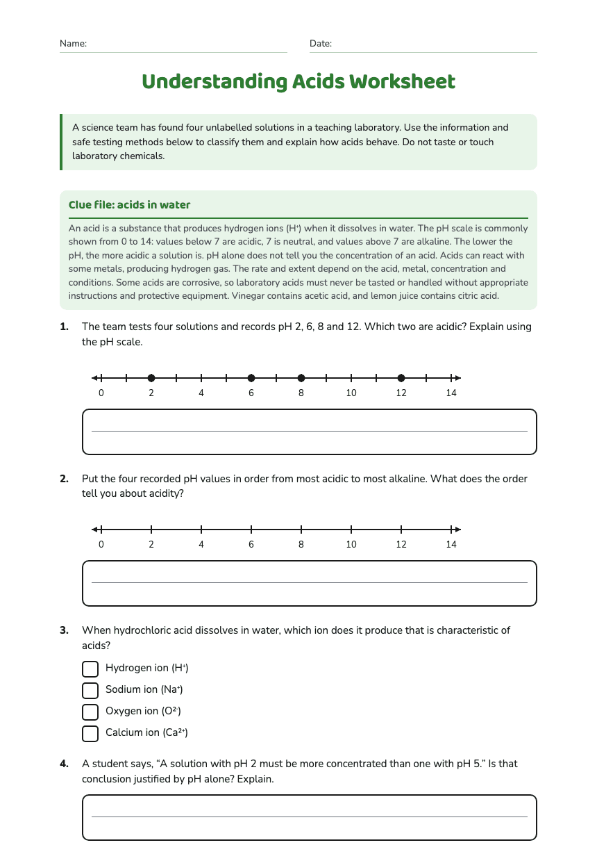 Understanding Acids Worksheet worksheet preview