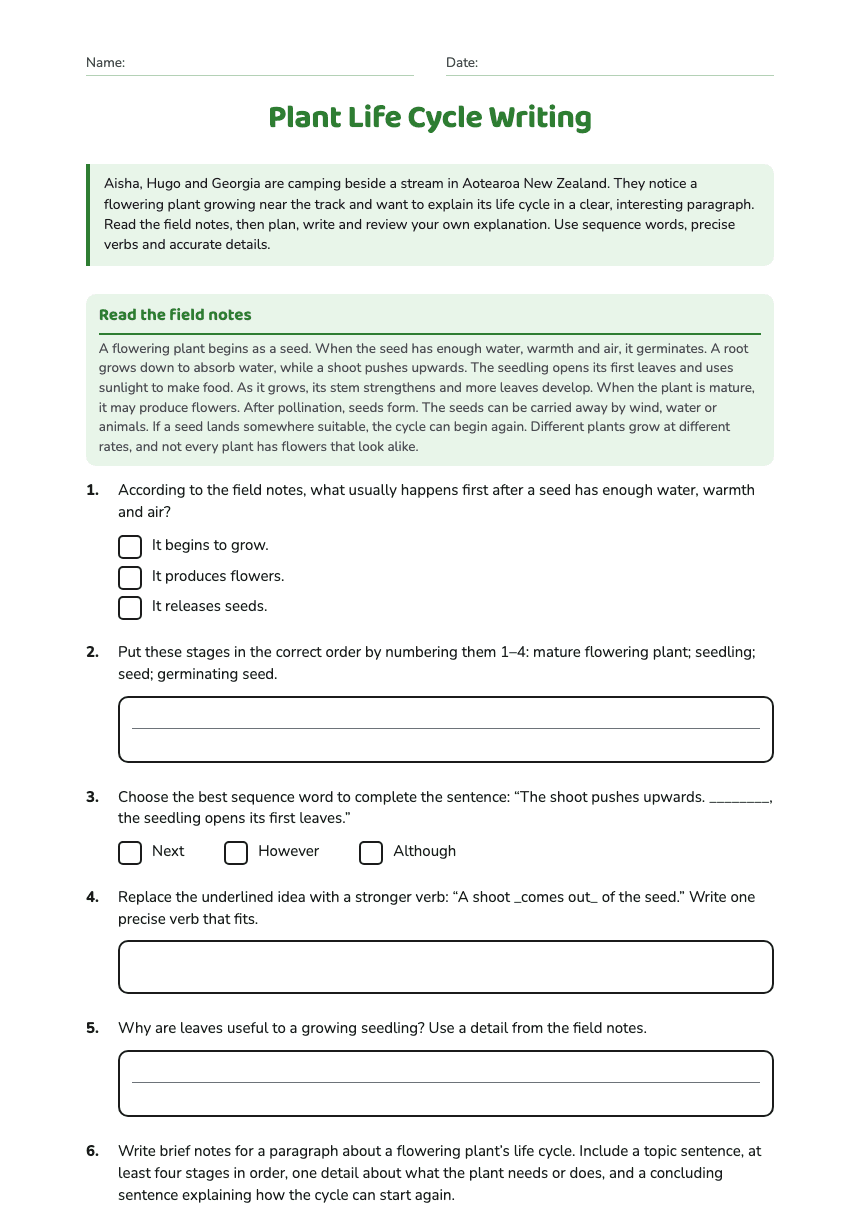 Plant Life Cycle Writing worksheet preview