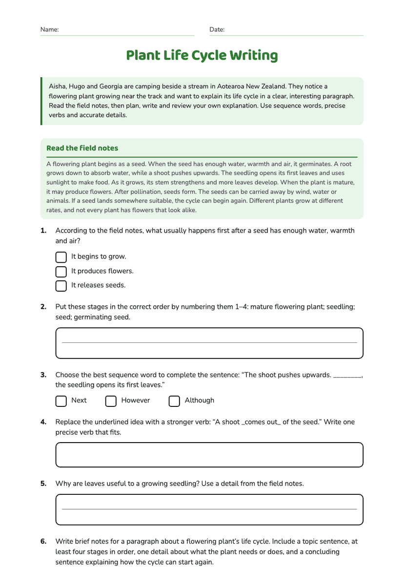 Plant Life Cycle Writing