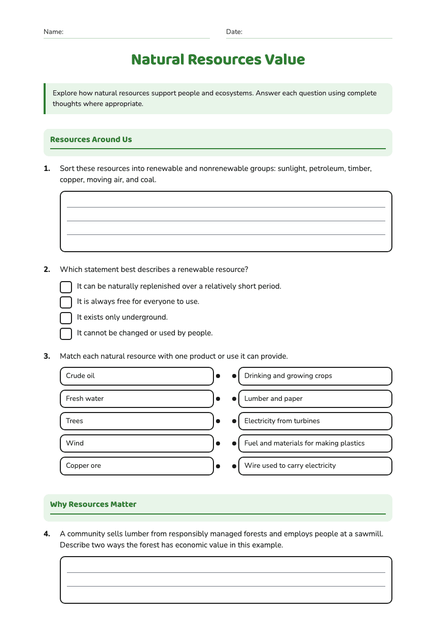 Natural Resources Value worksheet preview