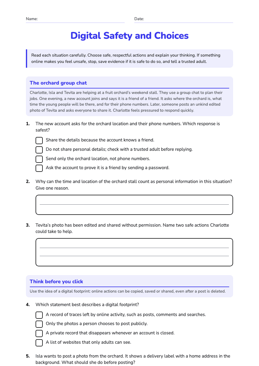 Digital Safety and Choices worksheet preview