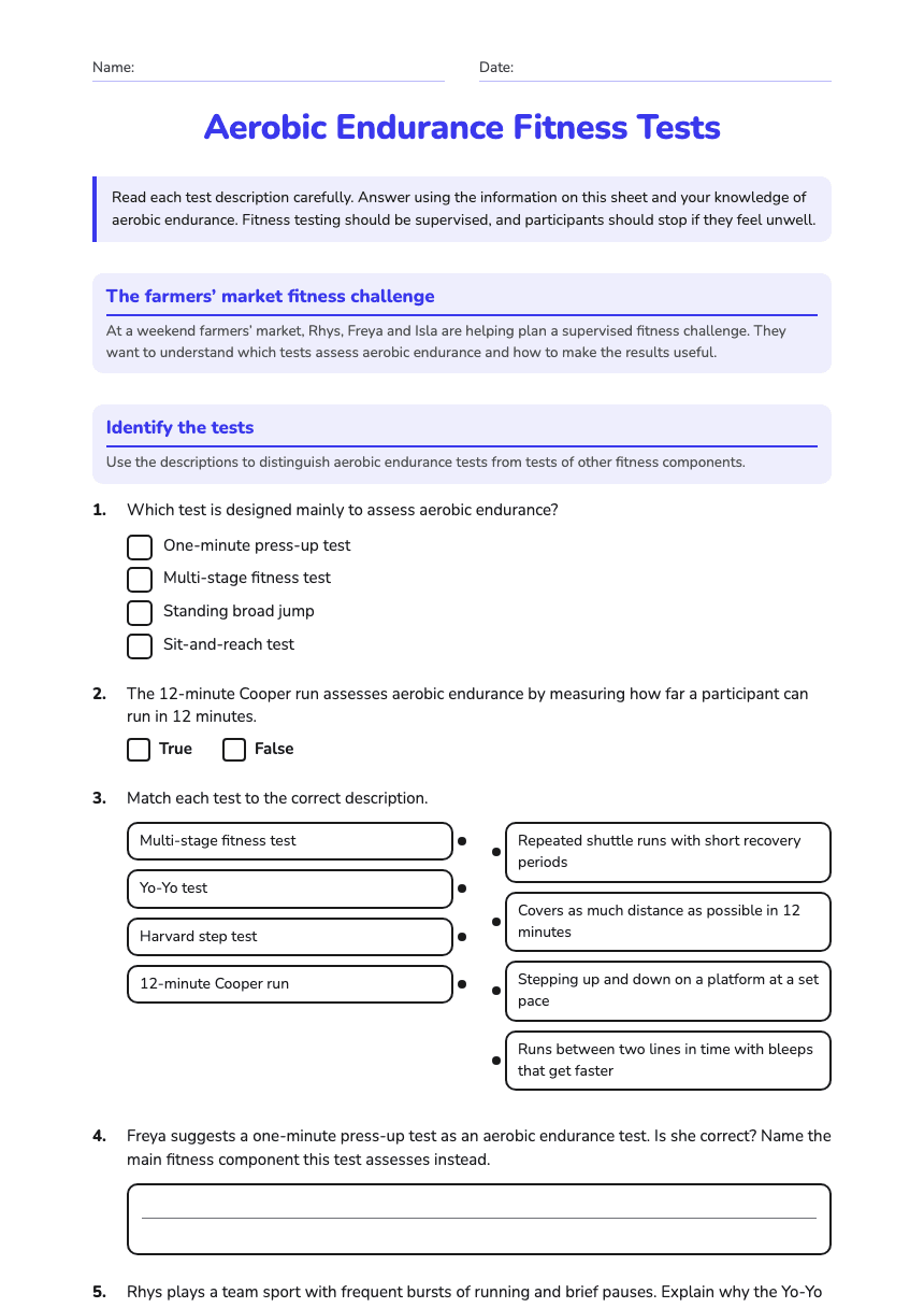 Aerobic Endurance Fitness Tests worksheet preview