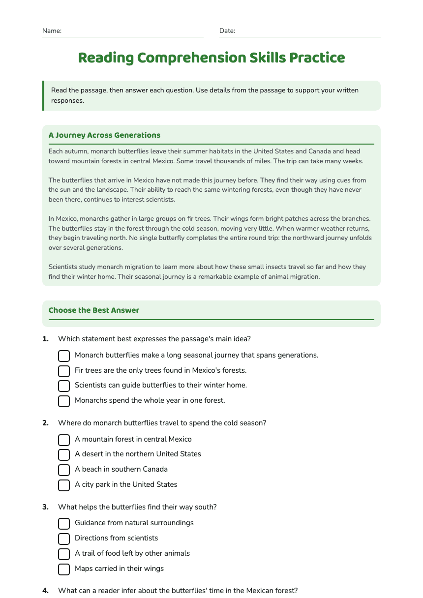 Reading Comprehension Skills Practice worksheet preview