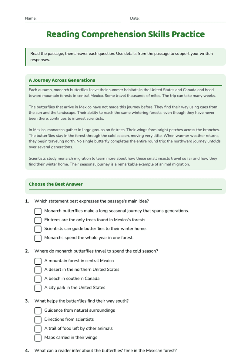 Reading Comprehension Skills Practice