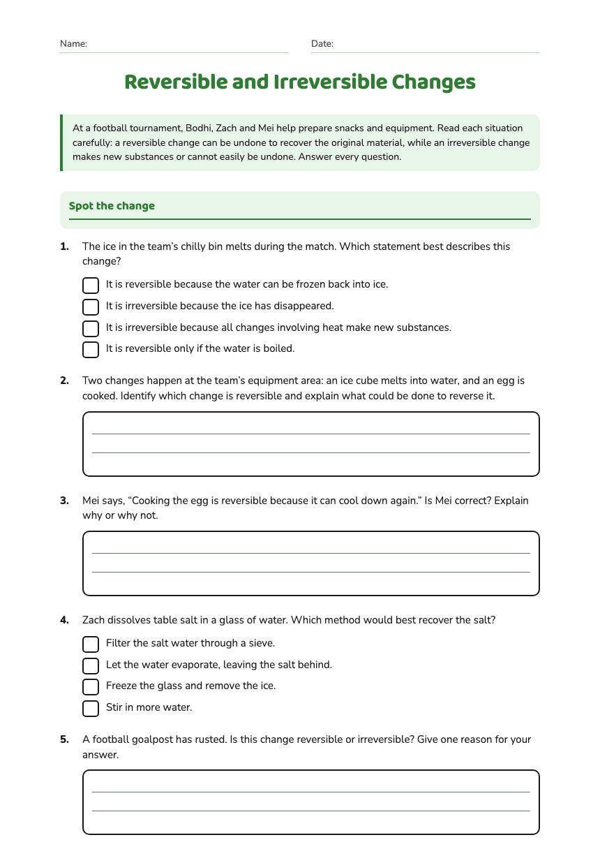 Reversible and Irreversible Changes worksheet preview