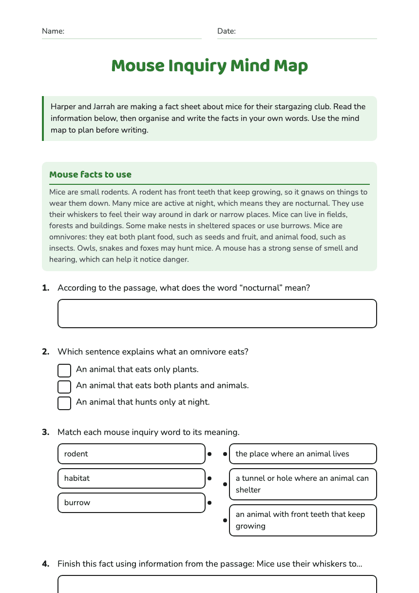 Mouse Inquiry Mind Map worksheet preview