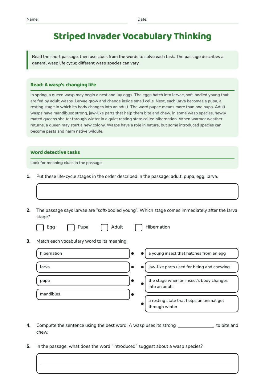 Striped Invader Vocabulary Thinking worksheet preview
