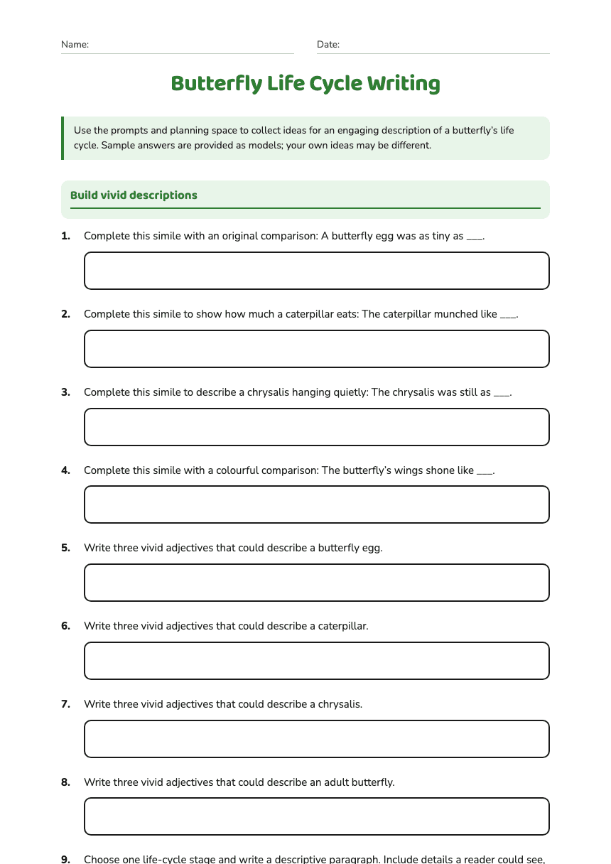 Butterfly Life Cycle Writing worksheet preview