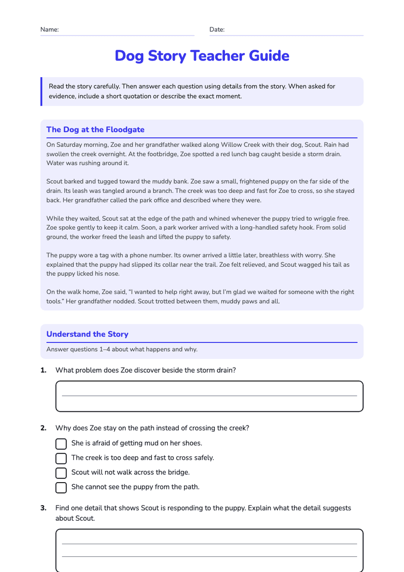 Dog Story Teacher Guide