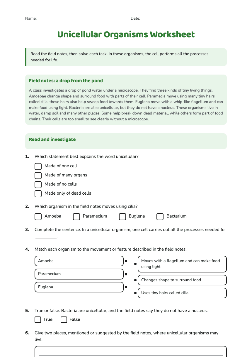Unicellular Organisms Worksheet worksheet preview