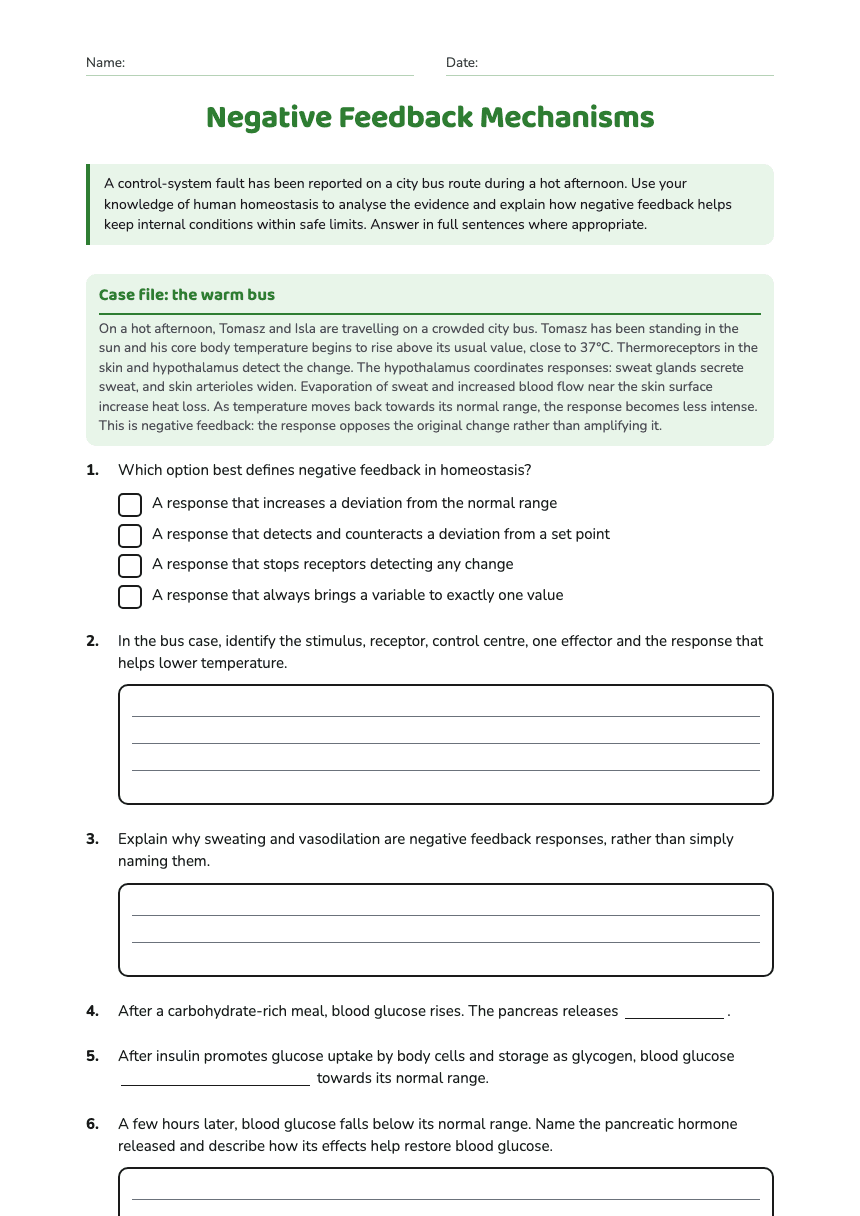 Negative Feedback Mechanisms worksheet preview