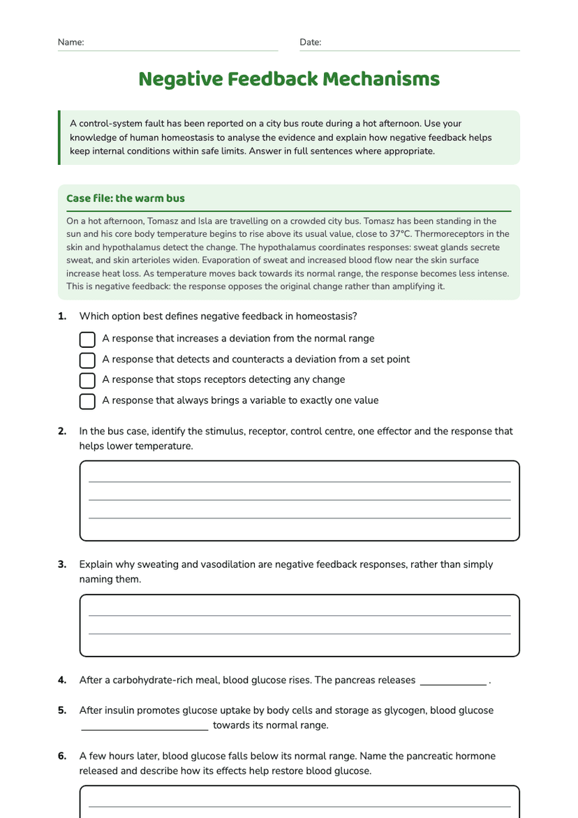 Negative Feedback Mechanisms
