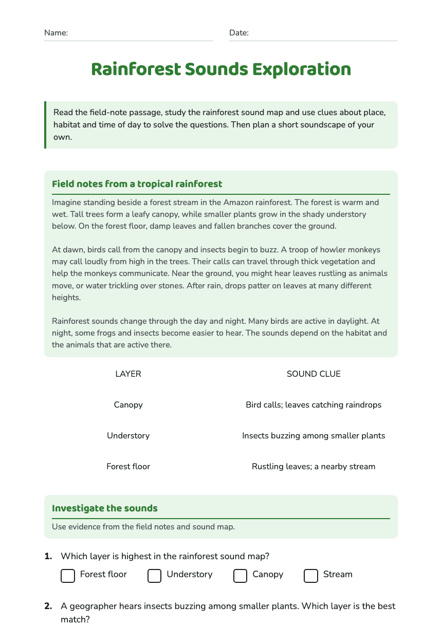 Rainforest Sounds Exploration worksheet preview