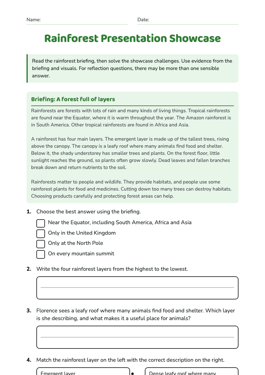 Rainforest Presentation Showcase worksheet preview